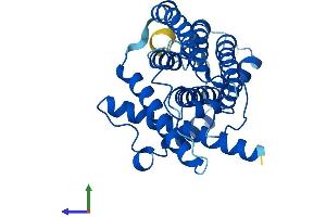 AlphaFold protein structure predicition of Human Recombinant MT-ND1 Protein, UniprotID P03886 (MT-ND1 Protein (AA 1-318) (His tag))