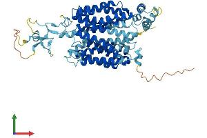 AlphaFold protein structure predicition of Human Recombinant SLC22A7 Protein, UniprotID Q9Y694