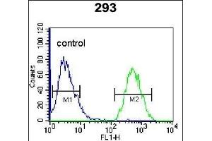 GPC6 Antibody (C-term) (ABIN655620 and ABIN2845100) flow cytometric analysis of 293 cells (right histogram) compared to a negative control cell (left histogram). (Glypican 6 antibody  (C-Term))