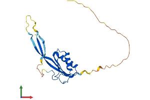 AlphaFold protein structure predicition of Mouse Recombinant Rpp25 Protein, UniprotID Q91WE3 (RPP25 Protein (AA 1-199) (His tag))