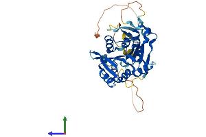 AlphaFold protein structure predicition of Human Recombinant METTL18 Protein, UniprotID O95568 (METTL18 Protein (AA 1-372) (His tag))
