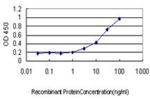 Detection limit for recombinant GST tagged ASCL1 is approximately 1ng/ml as a capture antibody. (ASCL1 antibody  (AA 137-236))