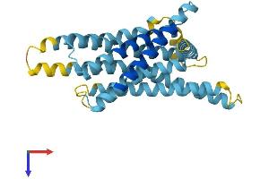 Taste Receptor, Type 2, Member 136 (TAS2R136) (AA 1-305) protein (His tag)