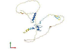 AlphaFold protein structure predicition of Mouse Recombinant Phf13 Protein, UniprotID Q8K2W6 (PHF13 Protein (AA 1-296) (His tag))