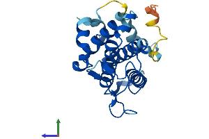 AlphaFold protein structure predicition of Mouse Recombinant Mob3c Protein, UniprotID Q8BJG4
