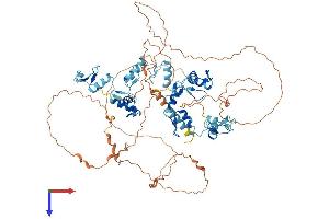 AlphaFold protein structure predicition of Human Recombinant ZNF366 Protein, UniprotID Q8N895