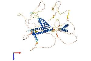Family with Sequence Similarity 13, Member A (FAM13A) (AA 1-693) protein (His tag)