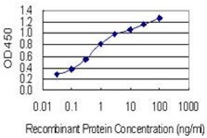 Detection limit for recombinant GST tagged OSBP is 0. (OSBP antibody  (AA 324-407))