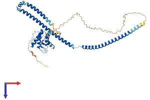 CLUAP1 Protein (AA 1-413) (His tag)