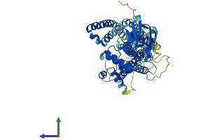 AlphaFold protein structure predicition of Mouse Recombinant Abcd4 Protein, UniprotID O89016 (ABCD4 Protein (AA 1-606) (His tag))