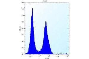 Flow cytometric analysis of Jurkat cells using MAP4K2 Antibody (Center) Cat. (MAP4K2 antibody  (Middle Region))