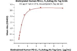 Immobilized Human B7-1, mouse IgG2a Fc Tag, low endotoxin (ABIN5674619,ABIN6253663) at 5 μg/mL (100 μL/well) can bind Biotinylated Human PD-L1, Fc,Avitag,His Tag (ABIN2181598,ABIN2181597) with a linear range of 0. (PD-L1 Protein (AA 19-238) (His tag,Fc Tag,AVI tag,Biotin))