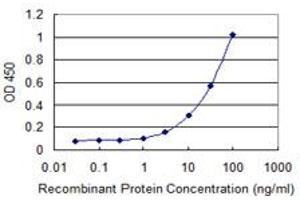 Detection limit for recombinant GST tagged CAPN11 is 1 ng/ml as a capture antibody. (CAPN11 antibody  (AA 557-651))