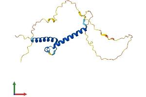 AlphaFold protein structure predicition of Human Recombinant MSGN1 Protein, UniprotID A6NI15 (Mesogenin 1 Protein (MSGN1) (AA 1-193) (His tag))