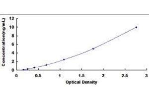 Carnitine O-Acetyltransferase (CRAT) ELISA Kit