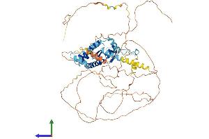 Protein Structure (PS) image for A Kinase (PRKA) Anchor Protein 8-Like (AKAP8L) (AA 1-642) protein (His tag) (ABIN7565177)