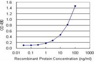 Sandwich ELISA detection sensitivity ranging from 1 ng/mL to 100 ng/mL. (SCGB1A1 (Human) Matched Antibody Pair)