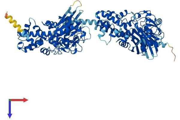 HKDC1 Protein (AA 1-915) (His tag)