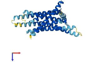 Taste Receptor, Type 2, Member 13 (TAS2R13) (AA 1-305) protein (His tag)