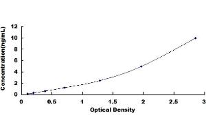 TLR10 ELISA Kit