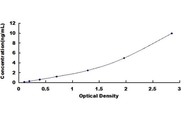 TLR10 ELISA Kit