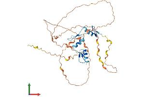 AlphaFold protein structure predicition of Mouse Recombinant Klf3 Protein, UniprotID Q60980