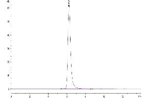 PLA2G1B Protein (AA 23-146) (Fc Tag)