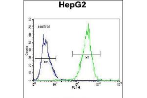Flow cytometric analysis of HepG2 cells (right histogram) compared to a negative control cell (left histogram). (PPARD antibody  (C-Term))