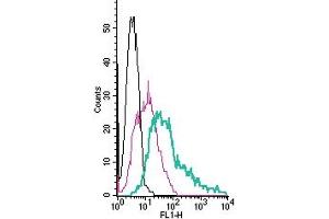 Cell surface detection of Histamine H1 Receptor by direct flow cytometry in live intact human  megakaryoblastic leukemia cells: + Rabbit IgG Isotype Control-FITC (ABIN7582044).