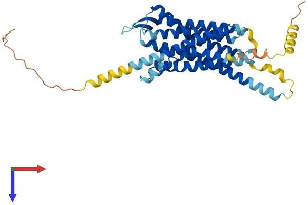 NPSR1 Protein (AA 1-371) (His tag)