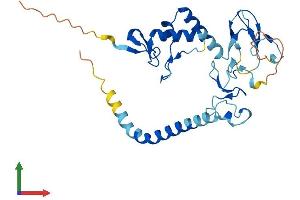 AlphaFold protein structure predicition of Mouse Recombinant Rnf144a Protein, UniprotID Q925F3 (RNF144A Protein (AA 1-292) (His tag))