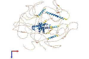 SECIS Binding Protein 2-Like (SECISBP2L) (AA 1-1101) protein (His tag)