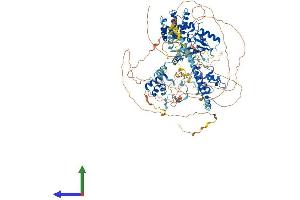 AlphaFold protein structure predicition of Mouse Recombinant Smarcc1 Protein, UniprotID P97496