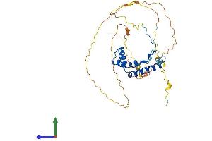 AlphaFold protein structure predicition of Mouse Recombinant Sox12 Protein, UniprotID Q04890 (SOX12 Protein (AA 1-314) (His tag))