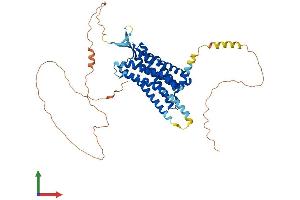 Protein Structure (PS) image for Neuropeptide FF Receptor 2 (NPFF2) (AA 1-522) protein (His tag) (ABIN7549953)