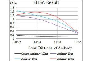 Red: Control Antigen (100ng) ; Purple: Antigen (10ng) ; Green: Antigen (50ng) ; Blue: Antigen (100ng). (BMPR1A antibody  (AA 179-378))