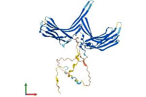 AlphaFold protein structure predicition of Human Recombinant ARRDC2 Protein, UniprotID Q8TBH0