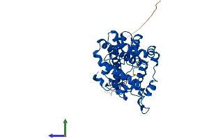 AlphaFold protein structure predicition of Mouse Recombinant Scd1 Protein, UniprotID P13516 (SCD Protein (AA 1-355) (His tag))