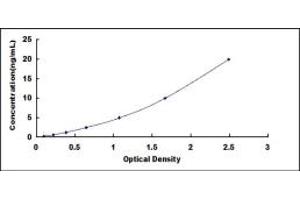 Typical standard curve (SBEM ELISA Kit)