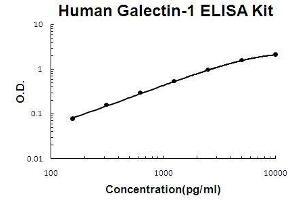 Human Galectin-1 EZ Set ELISA Kit standard curve