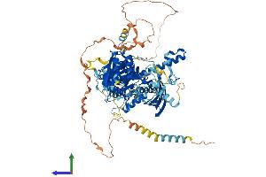 AlphaFold protein structure predicition of Mouse Recombinant Chsy3 Protein, UniprotID Q5DTK1