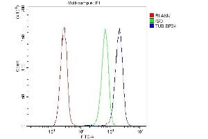 anti-Tubby Homolog (TUB) (AA 395-429), (C-Term) antibody