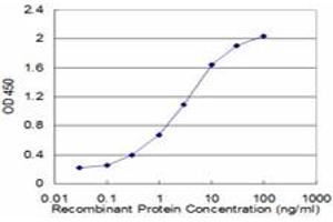 Detection limit for recombinant GST tagged RP2 is approximately 0. (RP2 antibody  (AA 251-350))