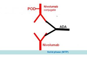 Image no. 1 for Nivolumab Antibody ELISA Kit (ABIN5012828) (Nivolumab Antibody ELISA Kit)