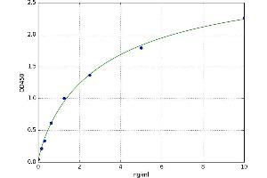 Alanyl (Membrane) Aminopeptidase (ANPEP) ELISA Kit