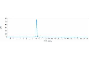 anti-IL13 (Cendakimab Biosimilar) antibody