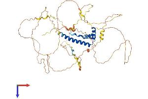TOX Protein (AA 1-526) (His tag)