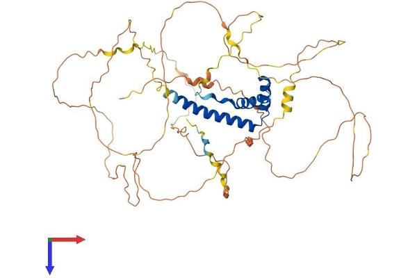 TOX Protein (AA 1-526) (His tag)