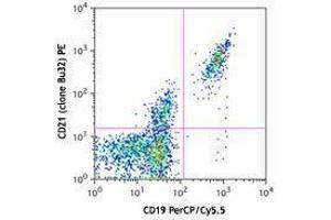 Flow Cytometry (FACS) image for anti-Complement Component (3d/Epstein Barr Virus) Receptor 2 (CR2) antibody (PE) (ABIN2662537) (CD21 antibody  (PE))