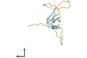 AlphaFold protein structure predicition of Mouse Recombinant Cirbp Protein, UniprotID P60824